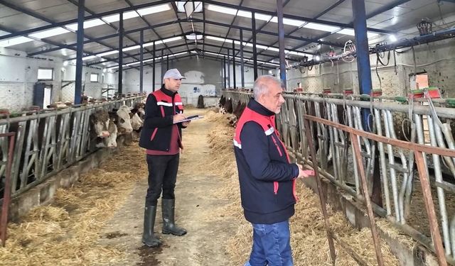 Besicilik işletmelerine yönelik 'kapasite ölçümleri' devam ediyor