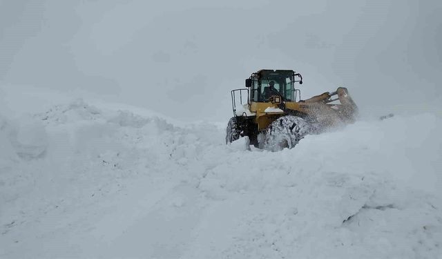 Bingöl'de karla mücadele sürüyor: Açılan bazı köy yolları tipi nedeniyle yeniden kapandı