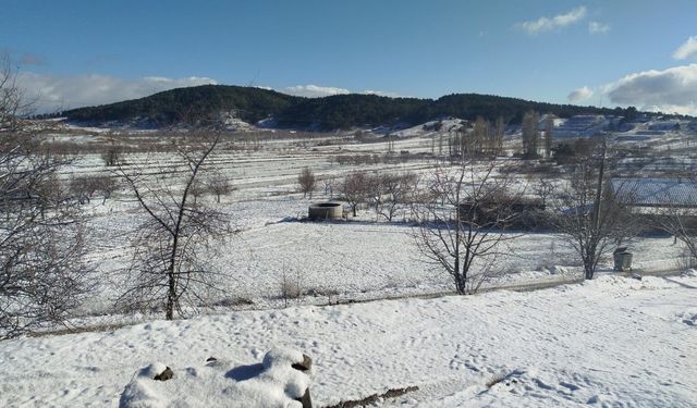Buldan'da yılın ilk karı üreticileri sevindirdi