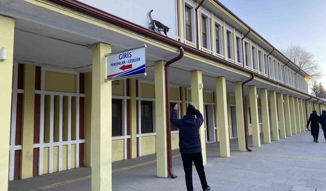 Çatıda mahsur kalmış gibi bağırıp gençlerle oynayan kedi yine aynısını yaptı