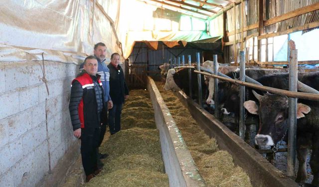 Erzincan'da aile hayvancılık işletmeleri ziyaret edildi