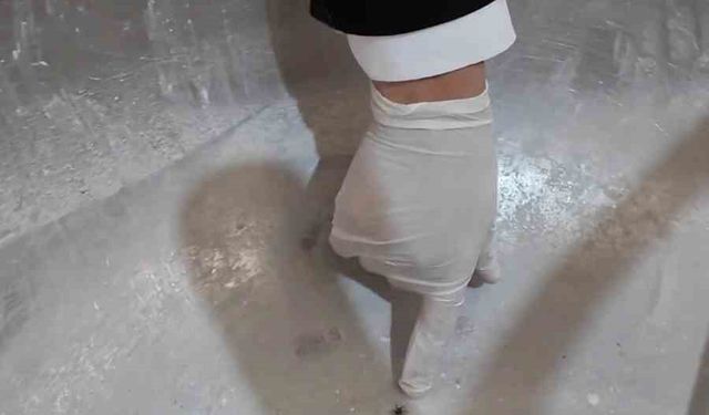 Fırında ortaya çıkan görüntülere tepki gösteren zabıta müdürü: 'Fareyi geçtim, yılan çıkacak diye korkuyorum'