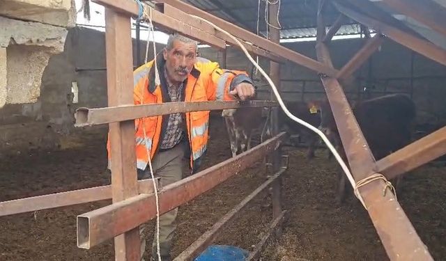 Gaziantep'te yoğun kar yağışı sonrası ahırın çatısı çöktü