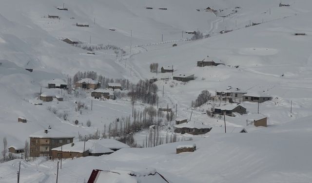Hakkari'de kar yağışı: 229 yerleşim yerinin yolu kapandı
