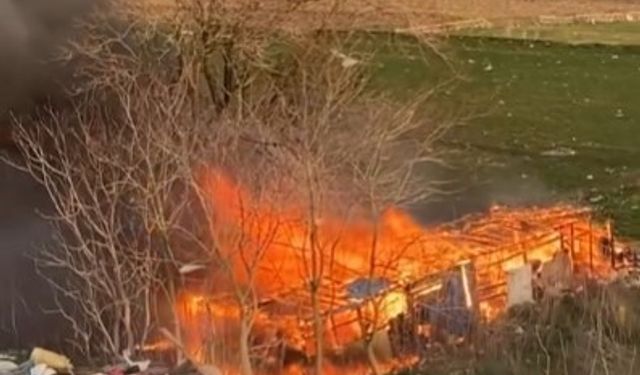 Karacabey'de ağıl alev alev yandı
