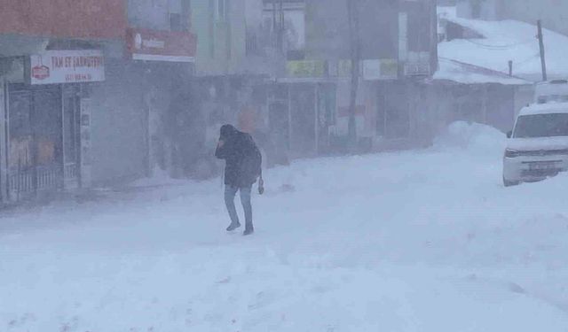 Karlıova'da tipi ve fırtına hayatı felç etti: Esnaf kepenk kapattı