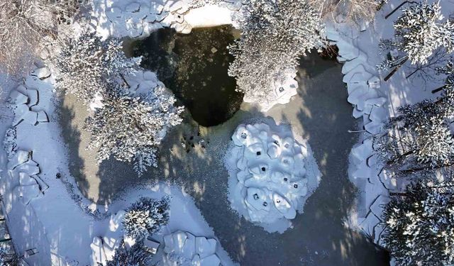 Kayseri buz tuttu: Termometreler eksi 14'ü gösterdi