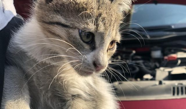 'Kontağı çevirmeden kaputa vurun' uyarısı