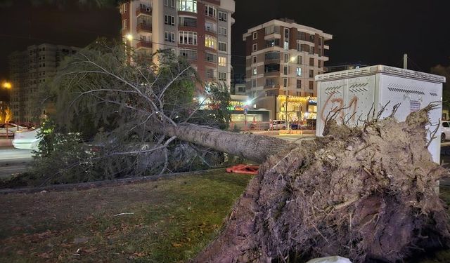 Meteoroloji'den 'kuvvetli rüzgar' ve 'fırtına' uyarısı