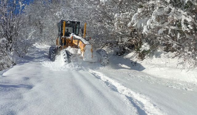 Ordu'da karla mücadele: 3 günde toplam 18 bin km yol ulaşıma açıldı