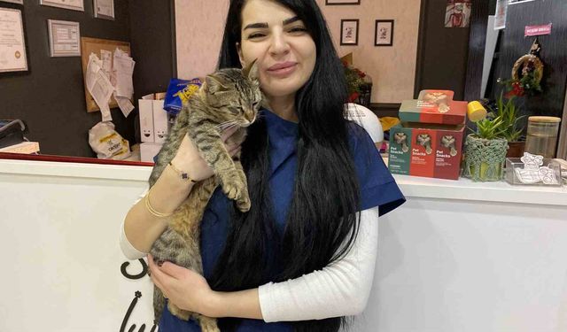 Uzman Veteriner Hekim Tuğçe Kara: 'Tüyü var üşümez inancı yanlış'