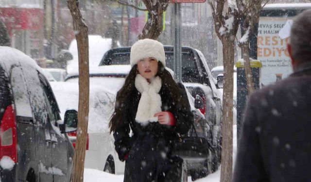 Van'da lapa lapa kar yağışı: 625 yol kapandı, okullar tatil edildi