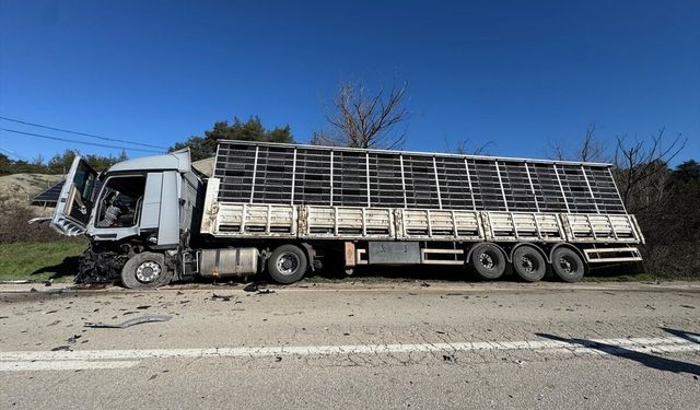 Bolu'da tırla çarpışan otomobilin sürücüsü öldü