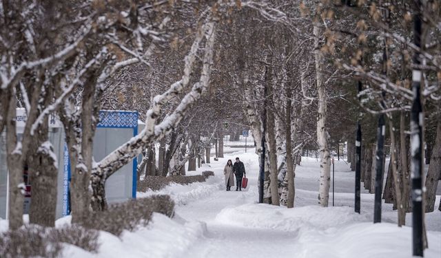 Doğu Anadolu'da 5 ilde kar ve soğuk hava etkili oluyor