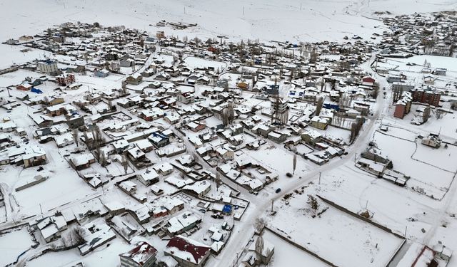 Erzurum ve Kars'ta kar, Ağrı ile Ardahan'da soğuk hava etkili oluyor