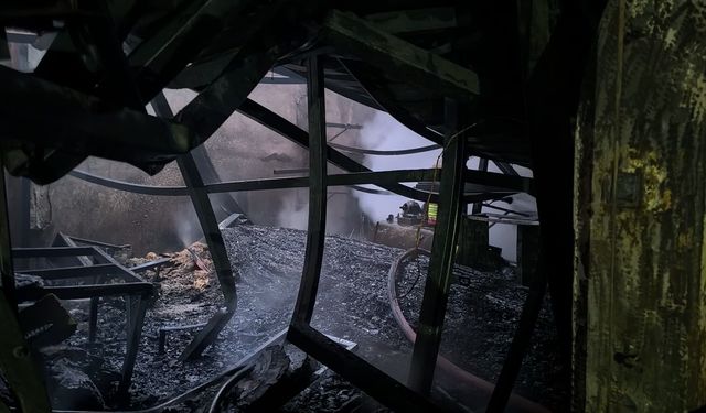 Hatay'da sanayi sitesindeki yangın 3 iş yeri ve 1 evde hasara yol açtı