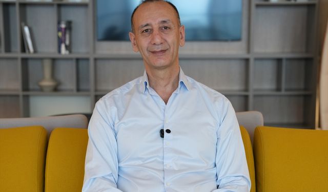 İspanya'da farelerdeki pankreas kanserini tedavi eden araştırma umut oldu