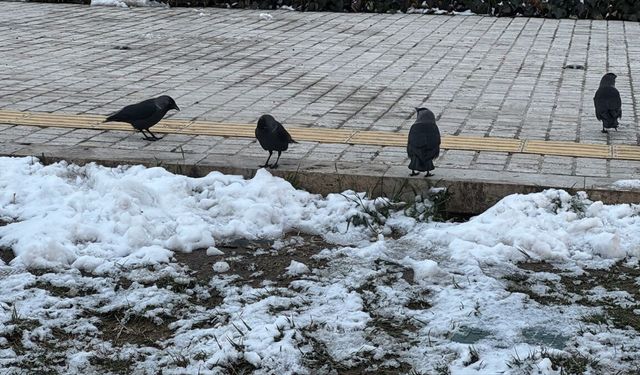 Trakya'da soğuk hava etkili oluyor