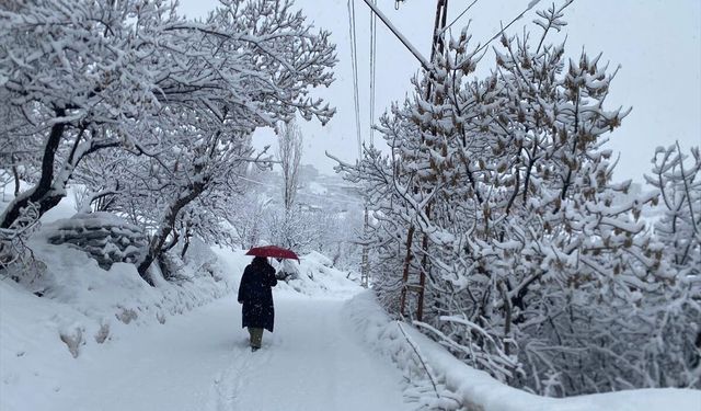 Van, Muş, Hakkari ve Bitlis'te 307 yerleşim yerine ulaşım sağlanamıyor