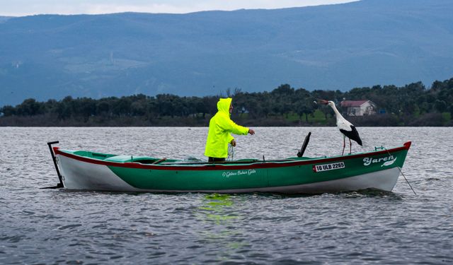 Yaren leylek göl manzaralı yuvasının bulunduğu Bursa'ya 15'inci yılında da geldi