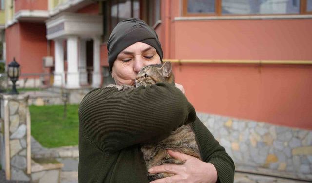20 yıldır sokak kedilerine annelik yapıyor: 'Sadece sevgi istiyorlar'