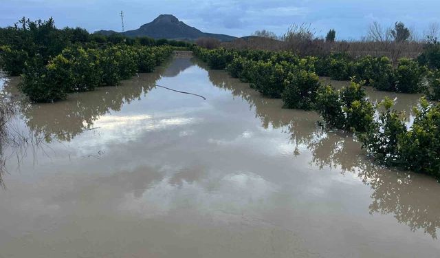 Adana'da şiddetli yağış, tarlaları sular altında bıraktı