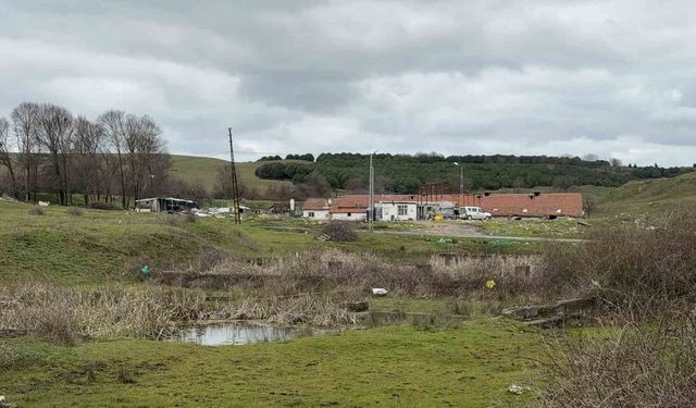 Arnavutköy'de elektrikli testereli saldırı: Çiftlik evinde dehşet