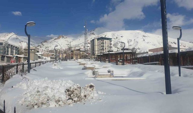 Başkale'de kar yağışı