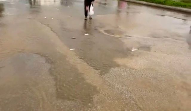 Bodrum'da sağanak baskını: Gölet taştı, asfalta balık yağdı