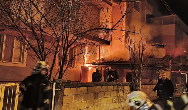 Denizli'de odunluk yangını korkuttu