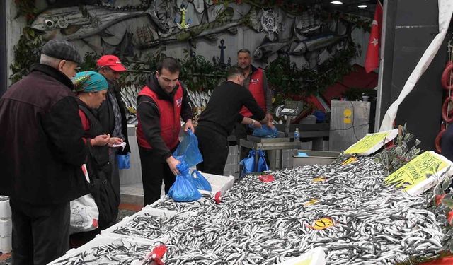 Edirne'de hamsinin kilosu 50 liraya düştü, tezgahlar şenlendi