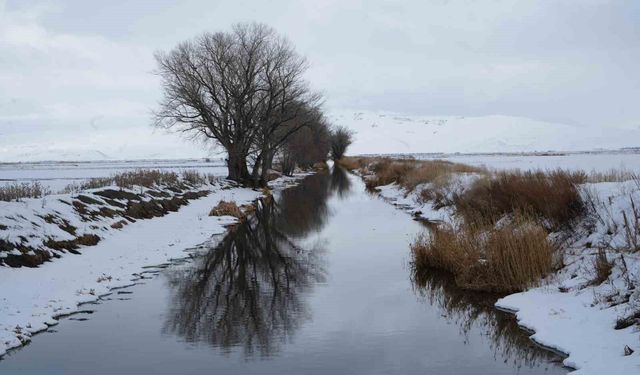 Erzurum'da kar yağışı etkili oluyor