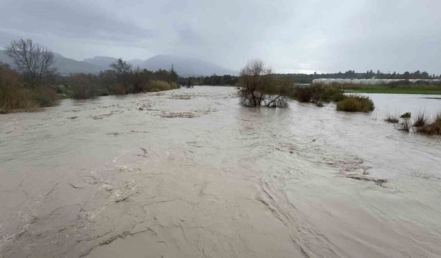 Eşen Çayı taştı, tarım arazileri ve hayvan barınağı sular altında kaldı