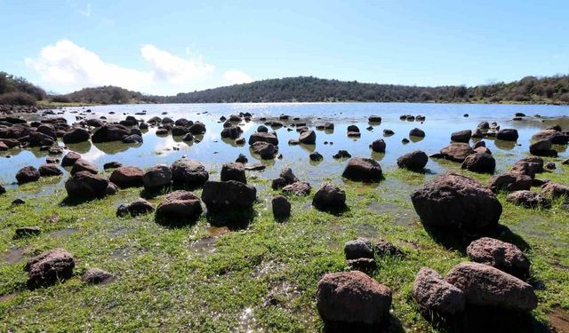 Geçen yıl tamamen kuruyan Tepegöl yeniden su tuttu