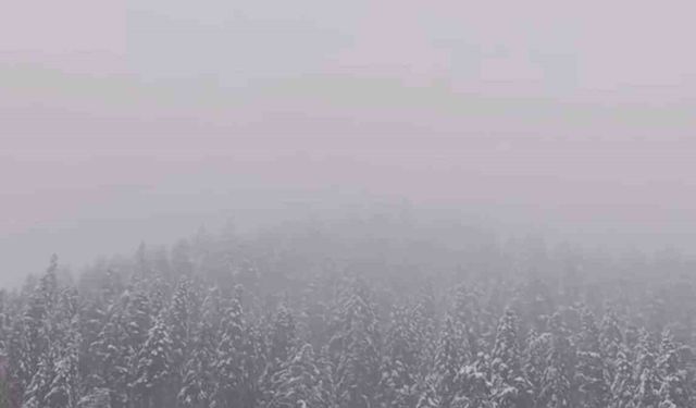 Ilgaz Dağı'nda kar yağışı etkili oldu