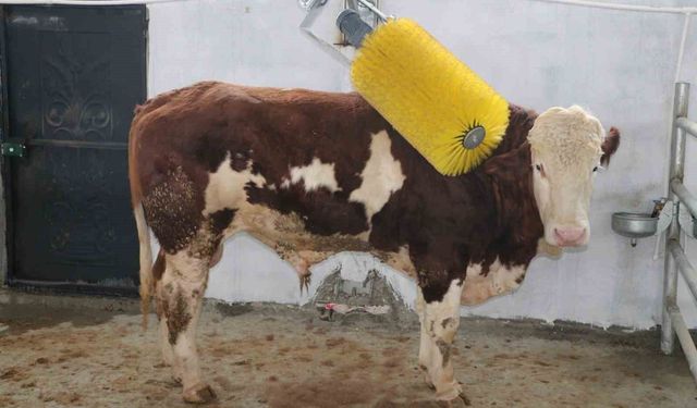 IPARD III ile Erzincan tarımına 178 milyon TL'lik yatırım desteği