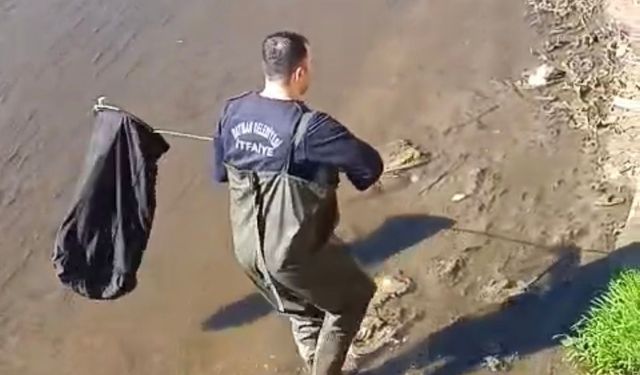 İtfaiye ekipleri dereye düşen horoz için seferber oldu