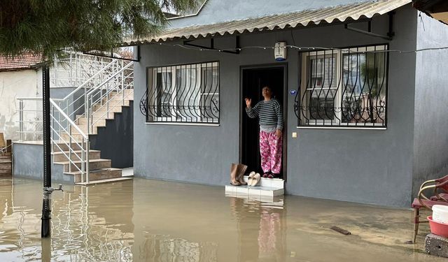 İzmir'de dere taştı, vatandaşlar çaresiz kaldı: 'Televizyonda izlerdik, başımıza geldi'
