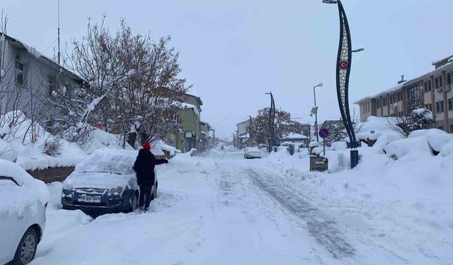 Karlıova'da kar ve tipi hayatı olumsuz etkiledi