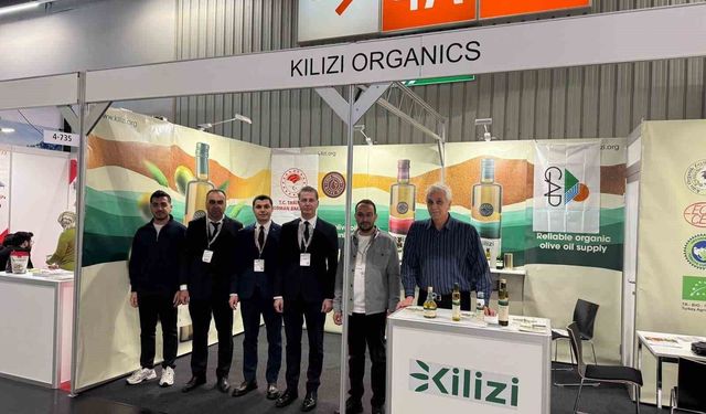 Kilis zeytinyağı dünyaya açıldı: 3 ülkede raflarda