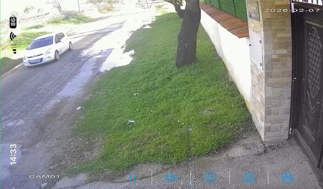 Köpeği çalınan vatandaştan hırsıza çağrı