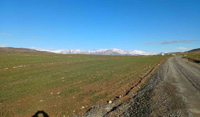 Kulp'ta yağışlar çiftçinin umudu arttı