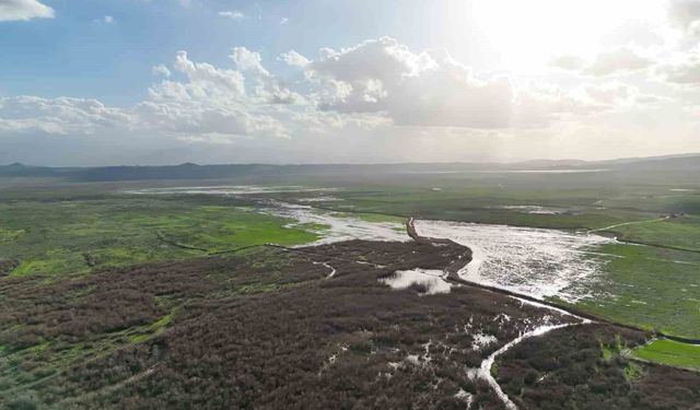 Kuruyan Marmara Gölü'ne yeniden su girişi başladı
