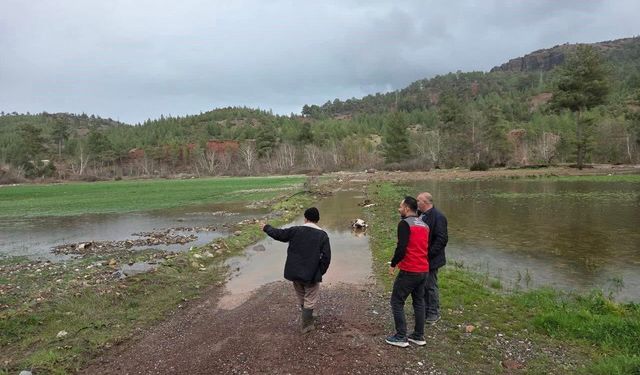 Menteşe'de sağanak yağışların ardından tarım arazilerinde hasar tespit çalışmaları başladı