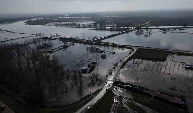 Meriç Nehri taştı, tarım arazileri ve yerleşim alanları sular altında kaldı