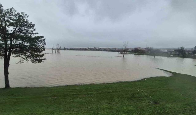 Meriç Nehri'nden taşan sular yaşam alanlarına kadar ulaştı