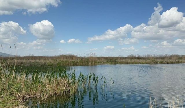 Sultan Dağları'ndaki kar Eber Gölü ve kiraza umut oldu