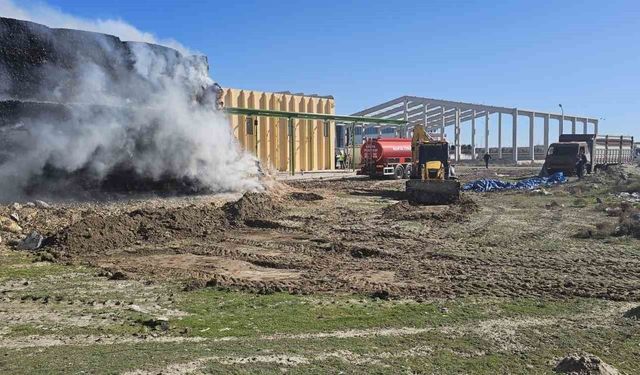 Tonlarca mısır balyası yandı