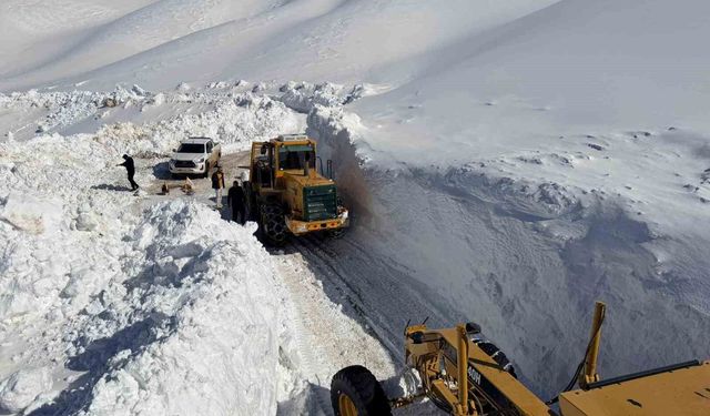 Van'da 3 bin 300 rakımlı mezra yolunda karla mücadele sürüyor