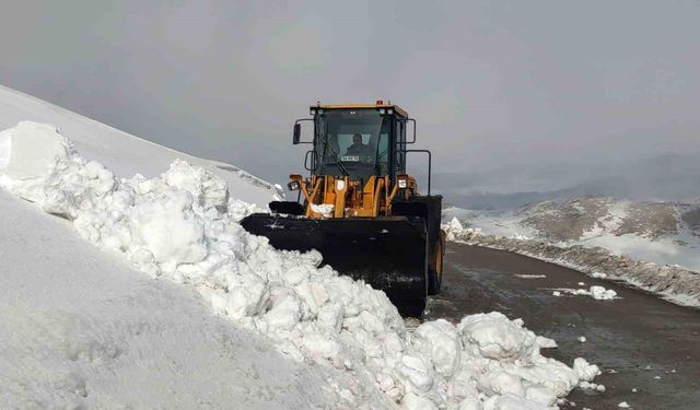 Van'da kar nedeniyle kapanan 67 yerleşim yerinin yolu açılıyor